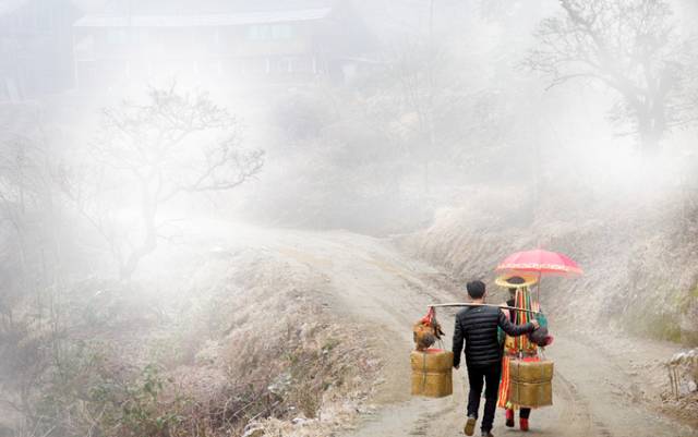 花瑶花怎么产地是广州_花瑶婚俗_花瑶花黑米亲润亮肤面膜