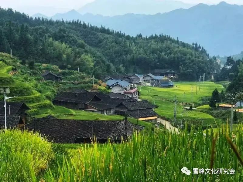 花瑶花护肤品怎么样_花瑶花_花瑶婚俗