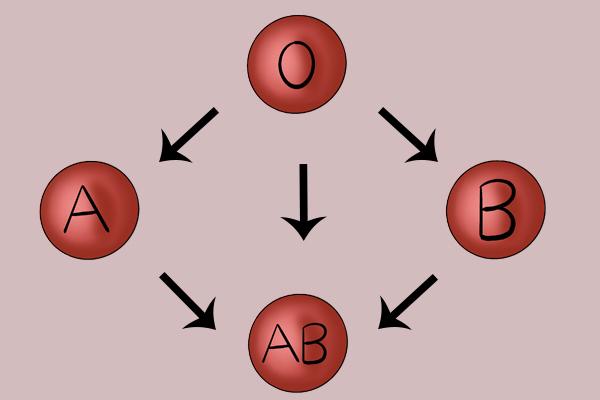 怎么才能是o型血_ab型和o型生的孩子是什么血_万能血型是o型还是ab型
