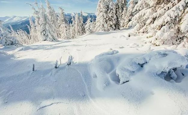 二十四节气大雪谚语大全_24节气顺口溜大全大雪_大雪养生节气