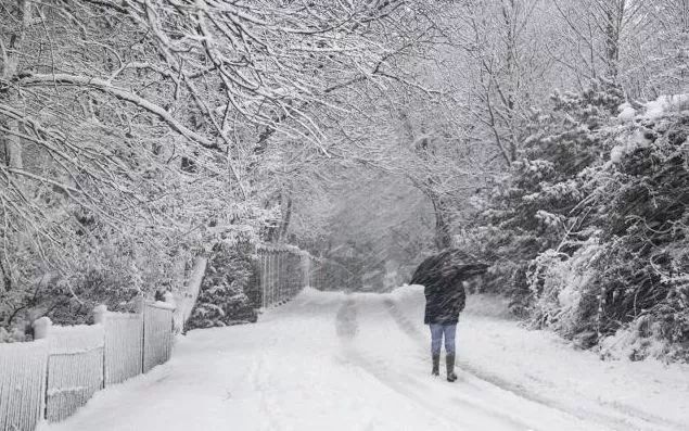 24节气顺口溜大全大雪_大雪养生节气_二十四节气大雪谚语大全