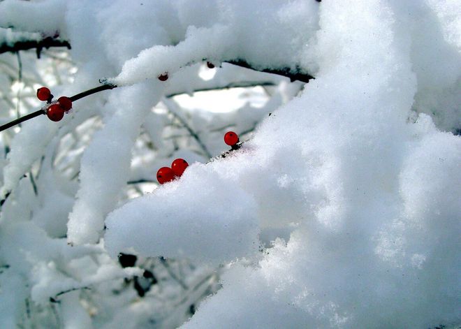 二十四节气大雪谚语大全_节气谚语大全_农谚谚语大全24节气