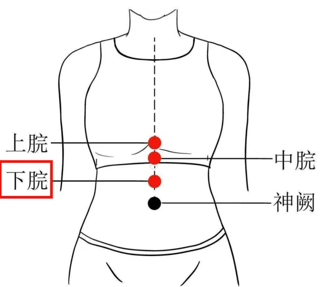 本草对症养生食疗经_图解十二经络对症养生_养生蔬果对症食疗大全