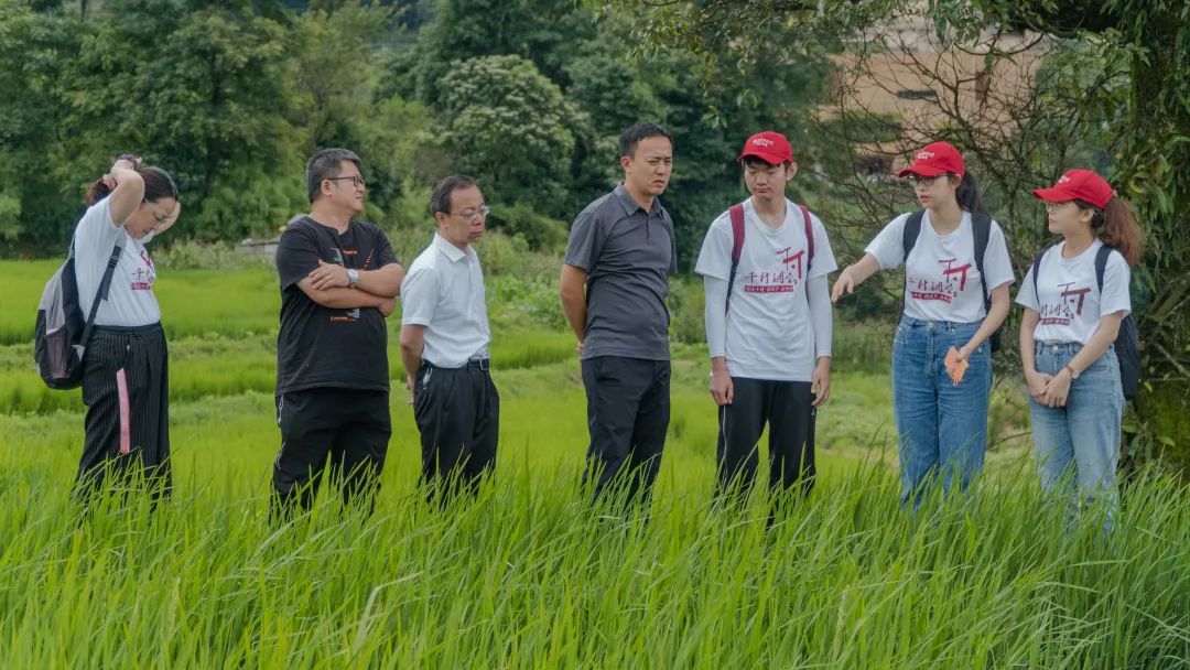 开心学国学(你最想知道的2000个国学知识)_曾老国学_深圳国学才艺老師招聘