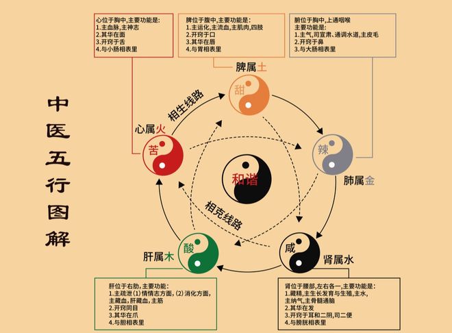 阴阳干支五行关系图_阴阳干支五行关系图片_阴阳干支五行关系图表