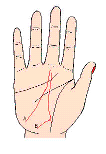女手掌线图解_手掌纹的生命线有断裂_手掌生命线