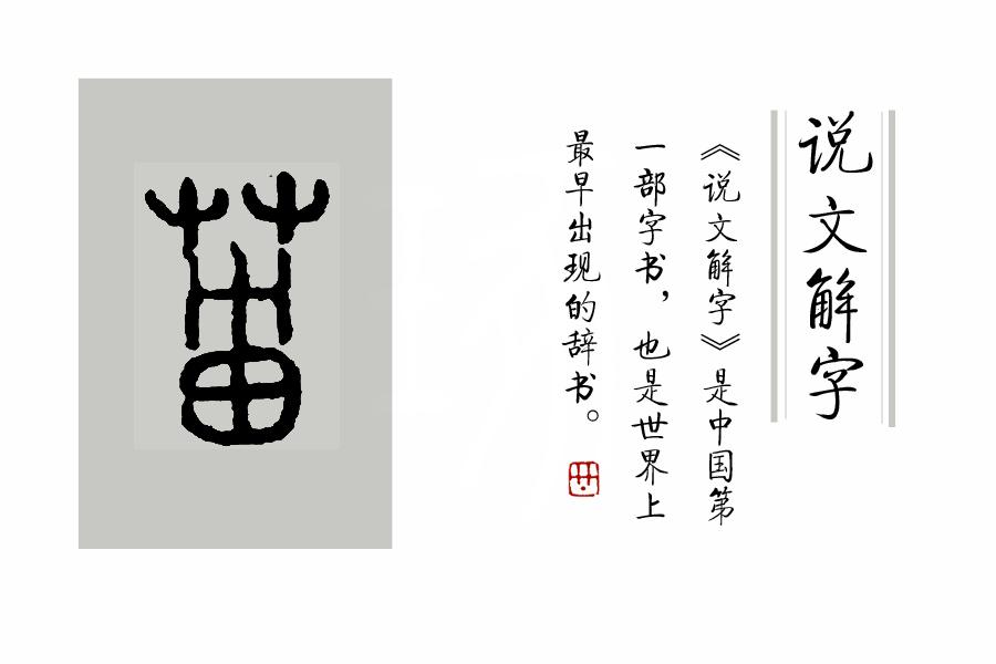 汉语解字_汉的说文解字_汉字解说文解字图片