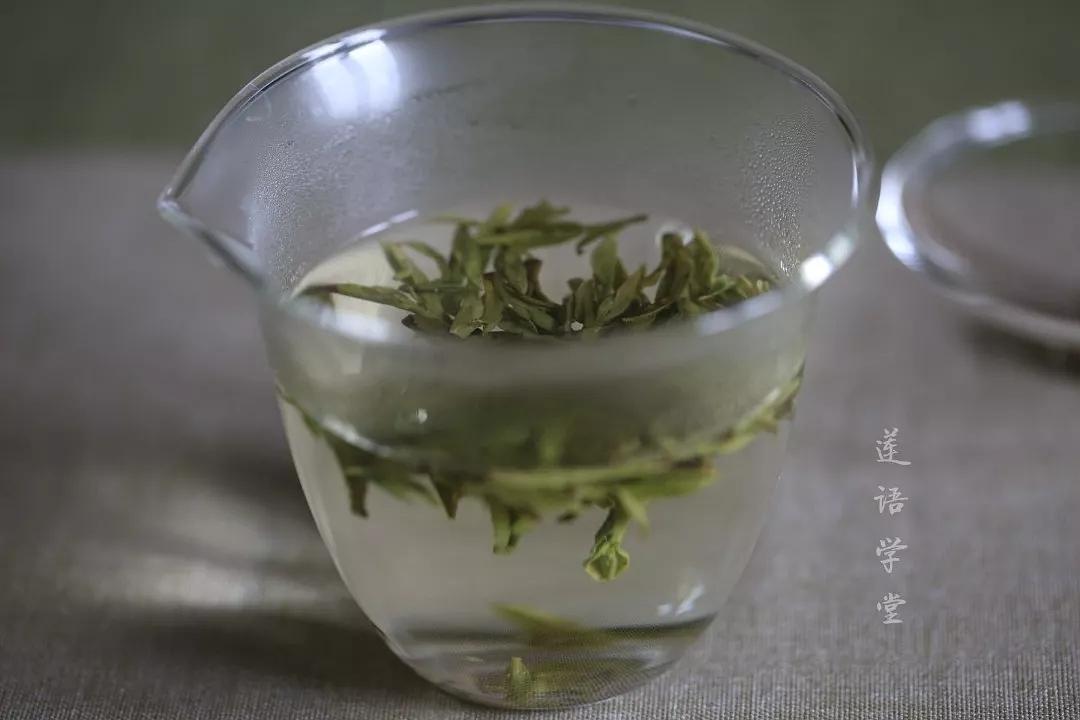 绿茶喝酒喝好后能喝吗_绿茶喝酒喝好后头晕恶心_喝酒后喝绿茶好吗