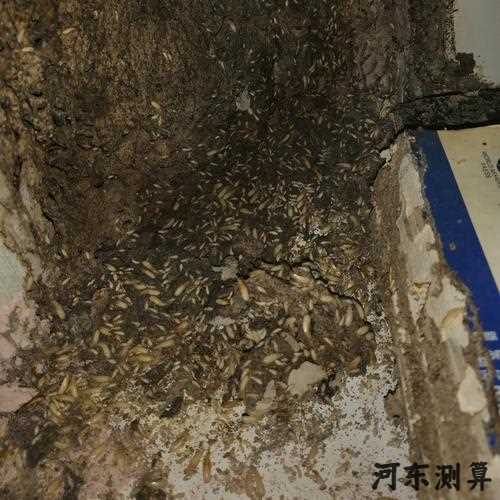 办公室设计任务书_办公室有白蚁风水_超详细舙室家具摆放风水