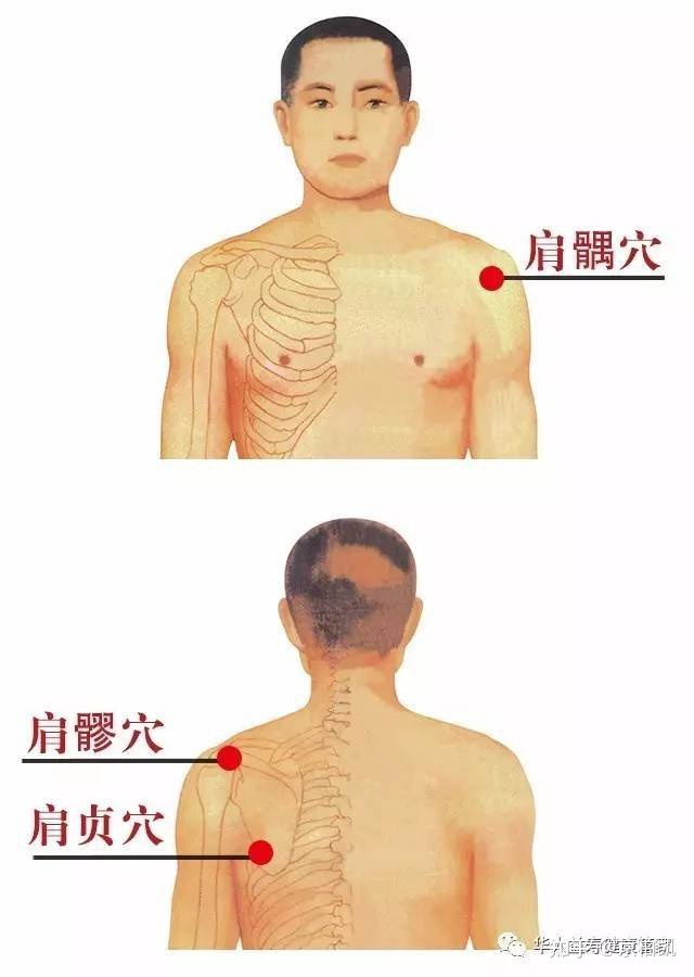 针灸肩周炎多长时间能治好_肩周炎针灸_舒氏针灸肩周炎