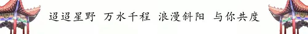 古典文学的魅力作文_中国古典文学的魅力_从古典文学看中国文化之韵味