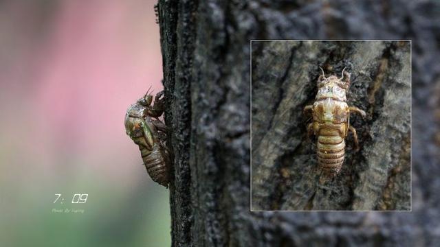 探索图片_逆水寒百分百探索图片_科学探索图片