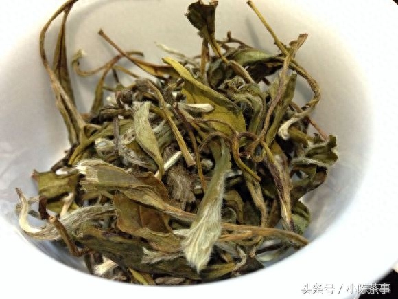 喝酒后喝绿茶能解酒吗_绿茶喝酒能喝解酒后的茶吗_喝酒后绿茶解酒吗