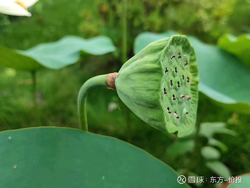 精髓道家思想字体图片_道家思想的精髓8个字_道家思想精华内容