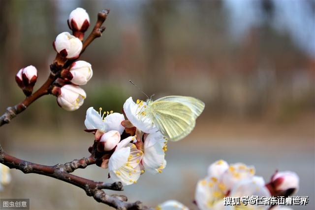 古诗淮南子的淮南子指的是什么_古诗淮南子说山训_淮南子古诗