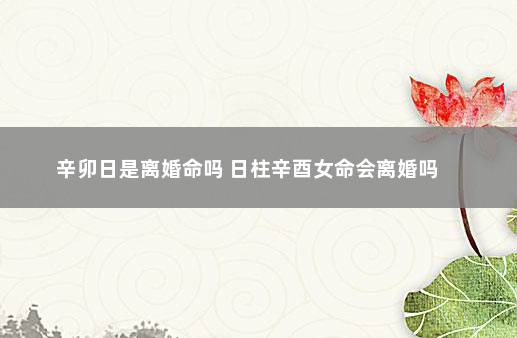 女命癸亥日柱旺夫八字_日柱癸亥女命运_癸亥日柱女命配偶长相