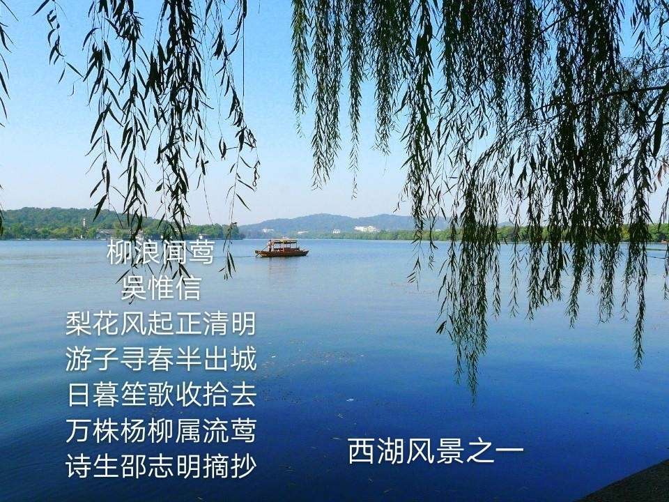 白居易最著名的一句诗_白居易的诗著名_白居易著名的诗句