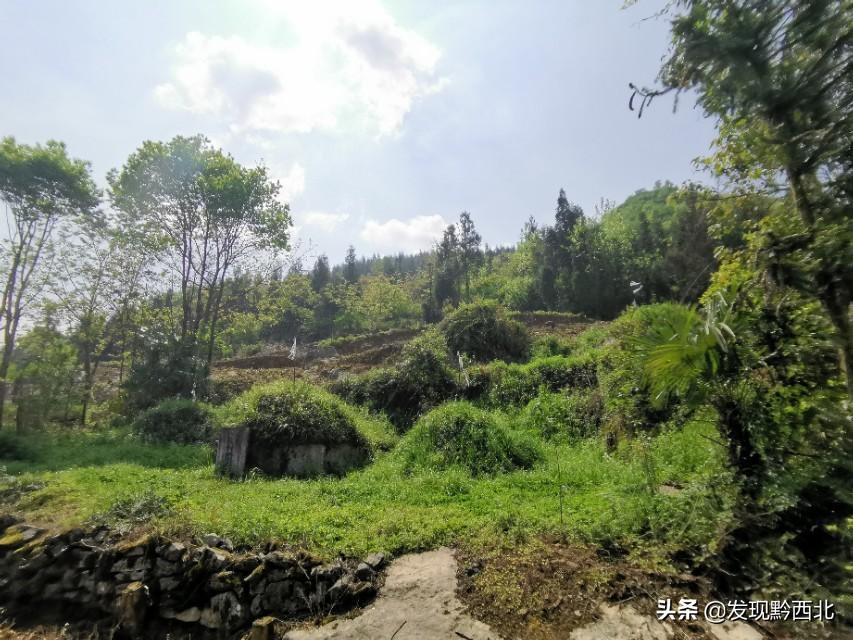 建墓地图纸_坟地建造图_建造坟墓的基本要求