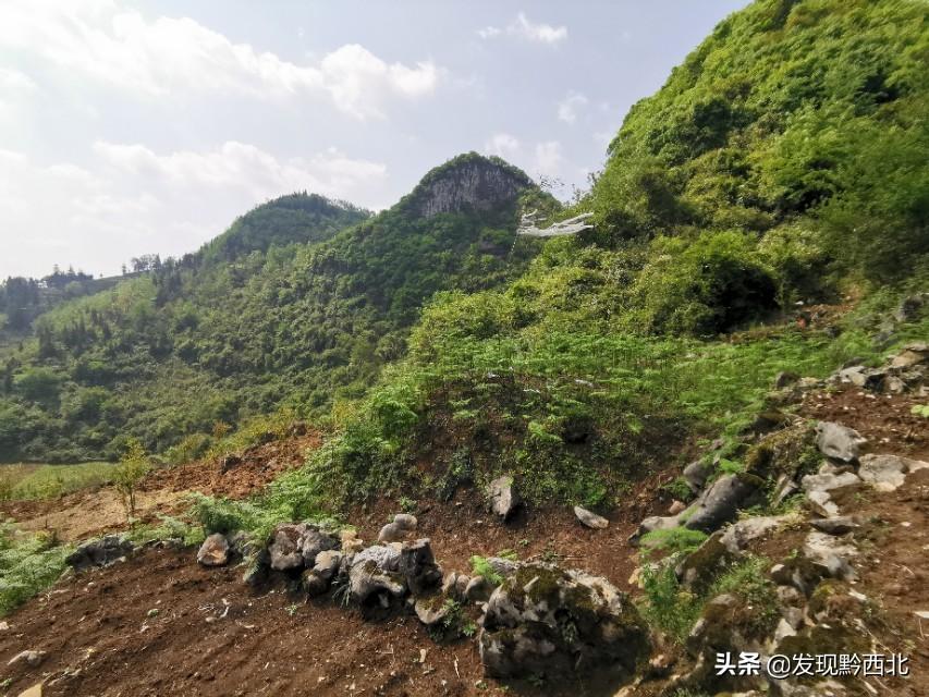 建造坟墓的基本要求_建墓地图纸_坟地建造图