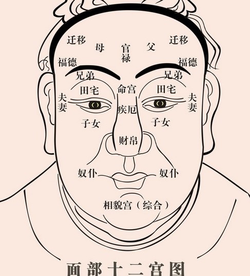 申子脸_申子脸_申子脸