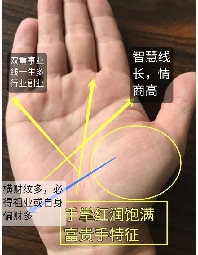 理财纹手相婚姻幸福_理财纹手相图解_罕见手相理财纹