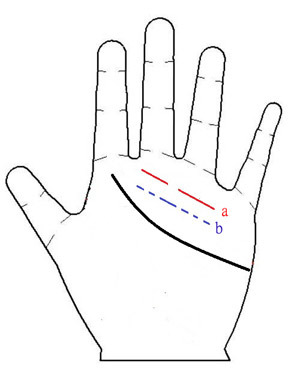 理财纹手相图解_理财纹手相婚姻幸福_罕见手相理财纹