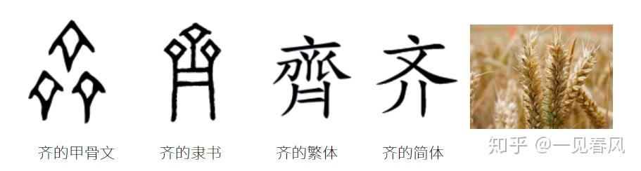 软文说说_软的说文解字_用文字解锁的软件叫什么