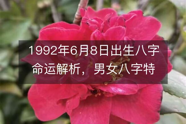 1992年6月8日出生八字命运解析，男女八字特征详解