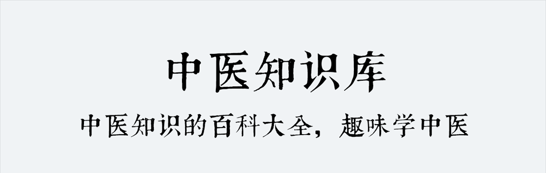 最新好用的中医养生类软件有哪些-中医养生app排名前十名2022[整理推荐]