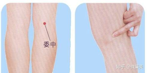 养生保健功法有哪些_养生保健手法之系列视频_常用养生保健穴位