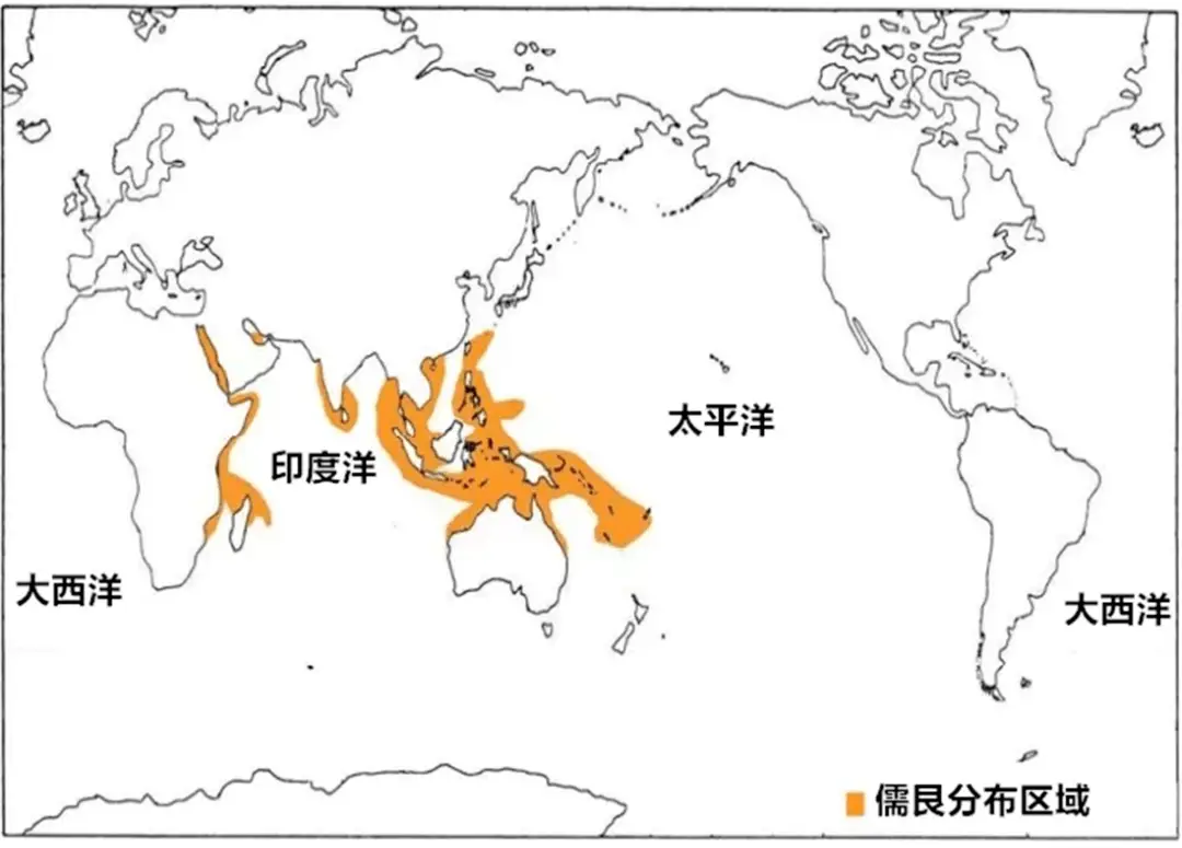 关于鱼的神话故事_寓言神鱼的故事_神话故事里的鱼