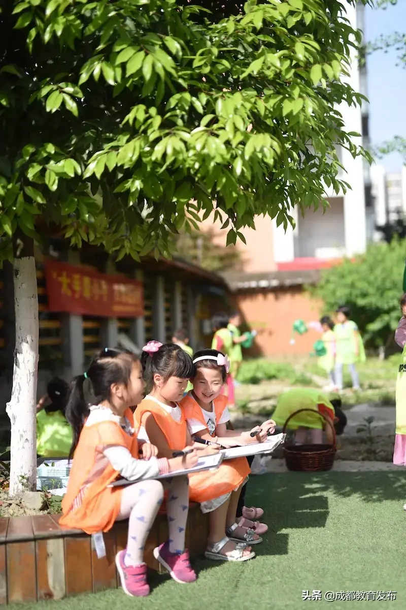 天府新区天府幼儿园_新区天府园幼儿园电话_天府新区第十二幼儿园